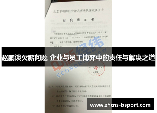 赵鹏谈欠薪问题 企业与员工博弈中的责任与解决之道